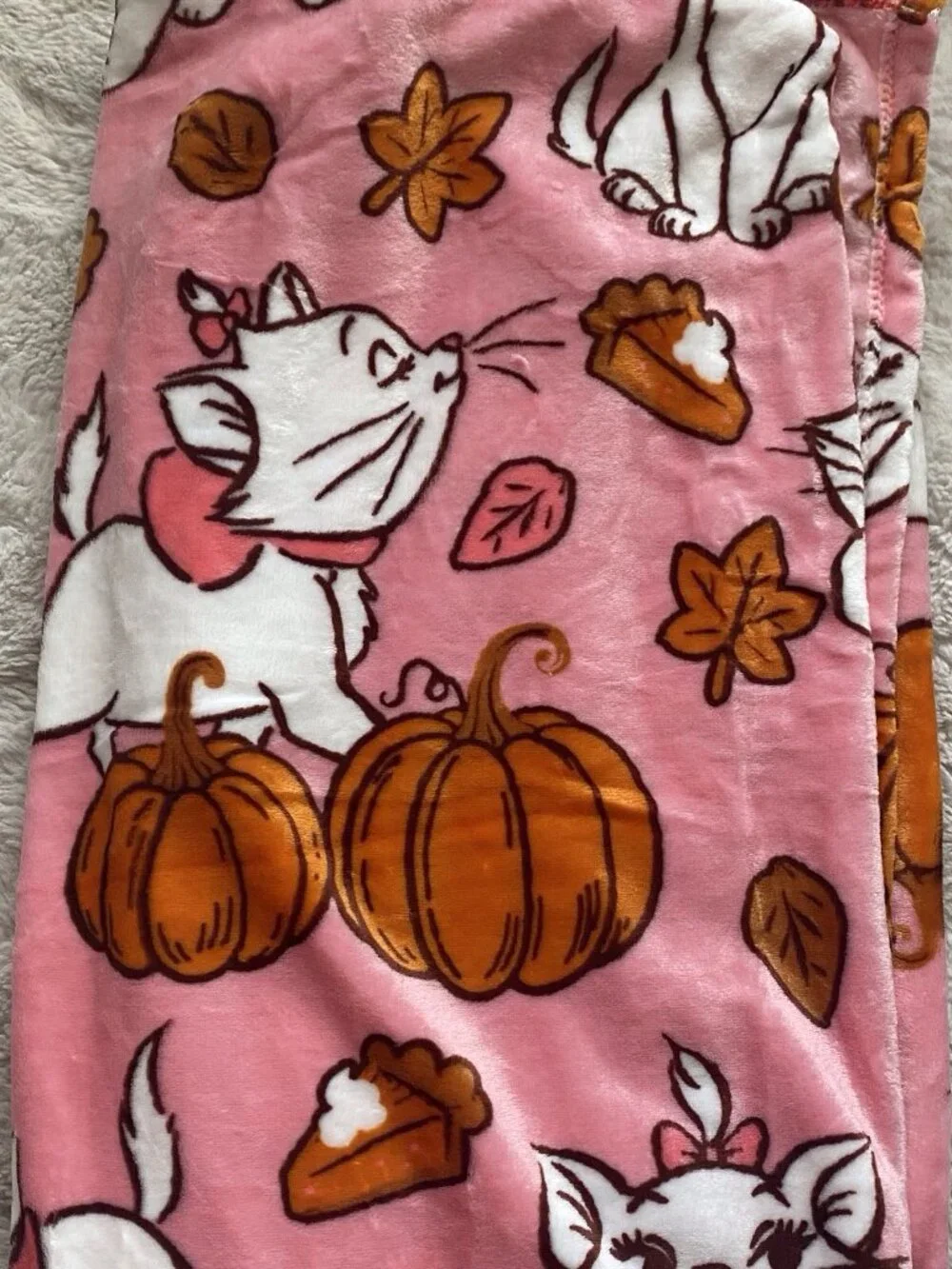 Disney Aristocats Marie Autumn Fall Pumpkins Soft Throw Blanket 50